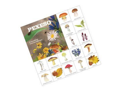 Pexeso – Les